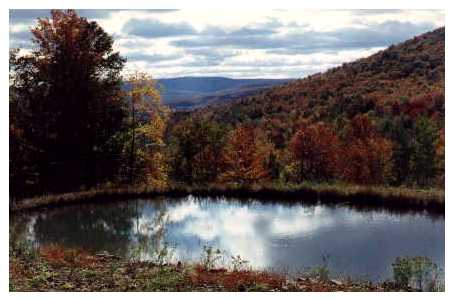 Catskill Pond di Angelo Gilardino