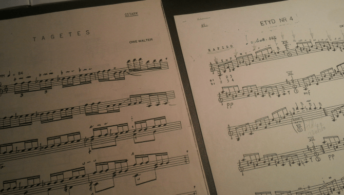 Musica per chitarra di Owe Walter